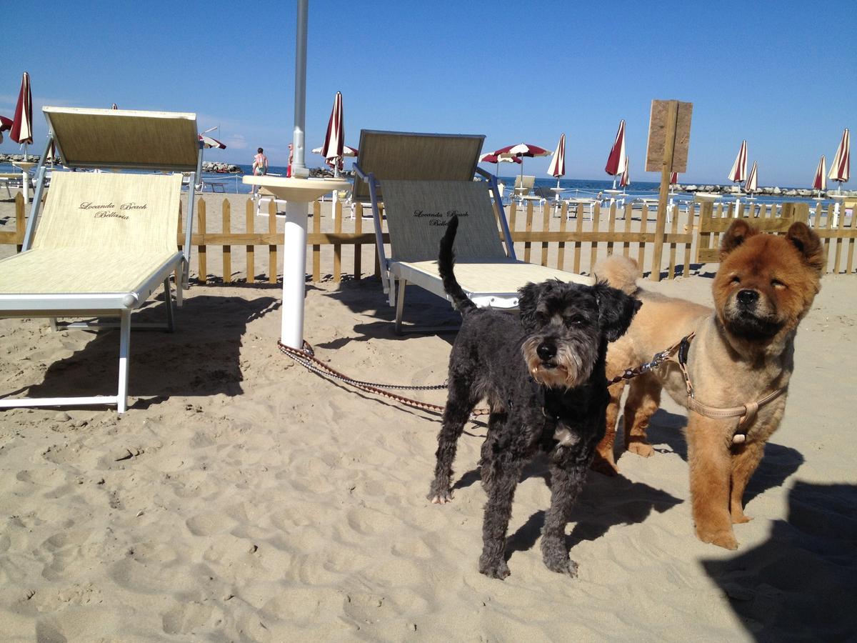 Hotel Locanda Delle Dune Bellaria-Igea Marina Eksteriør billede